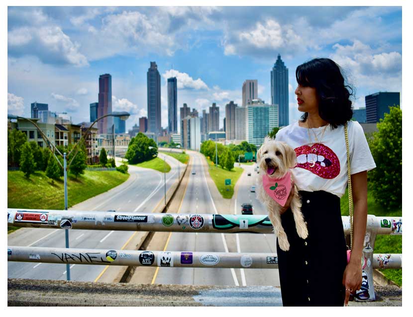 The Best Instagrammable Places To Take Photos With Your Dog In Atlanta Jackson St. Bridge