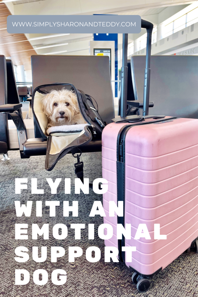 Flying With A Emotional Support Dog