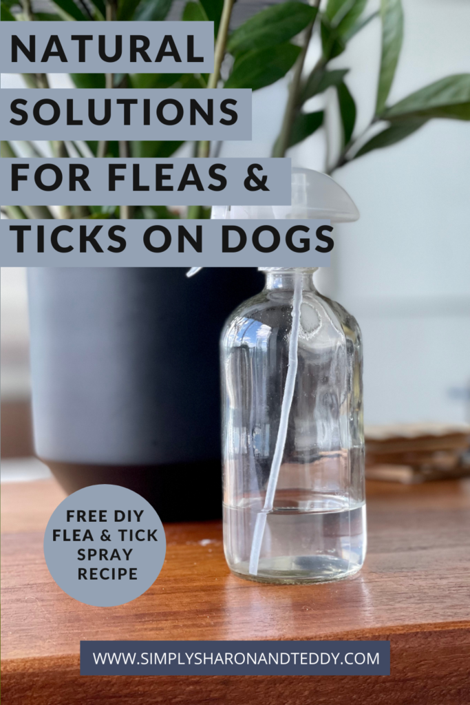 Natural Solutions For Fleas & Ticks On dogs pin