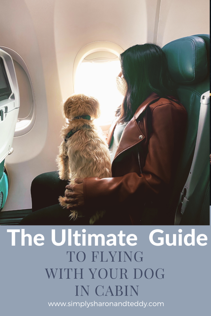 The Ultimate Guide For Flying With Your Dog In CabIn