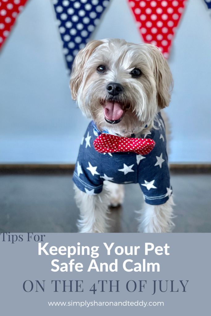 Tips For Keeping Your Pet Safe And Calm On The 4th Of July