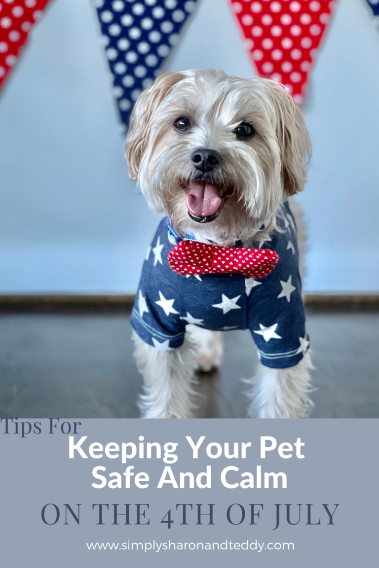 Tips To Keep Your Pet Safe And Calm On The 4th Of July - Simply Sharon ...