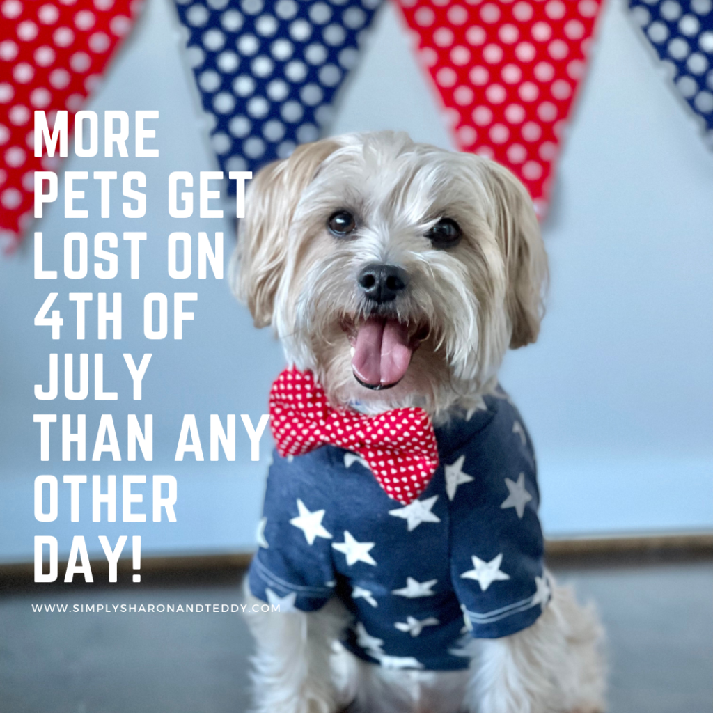 Tips For Keeping Your Pet Safe And Calm On The 4th Of July.