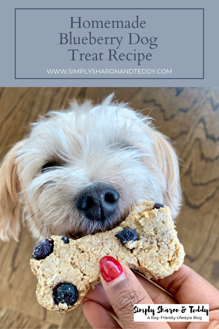 Homemade Blueberry Dog Treat Recipe Simply Sharon and Teddy
