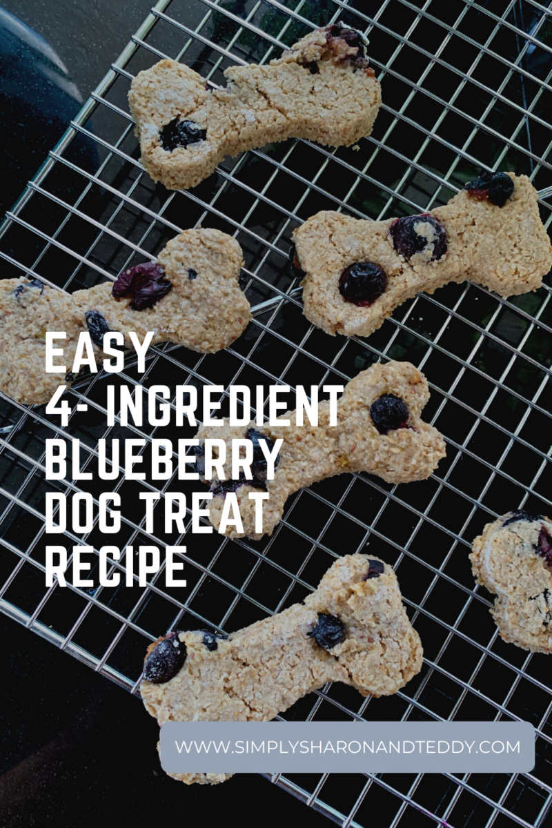 Homemade Blueberry Dog Treat Recipe Simply Sharon And Teddy