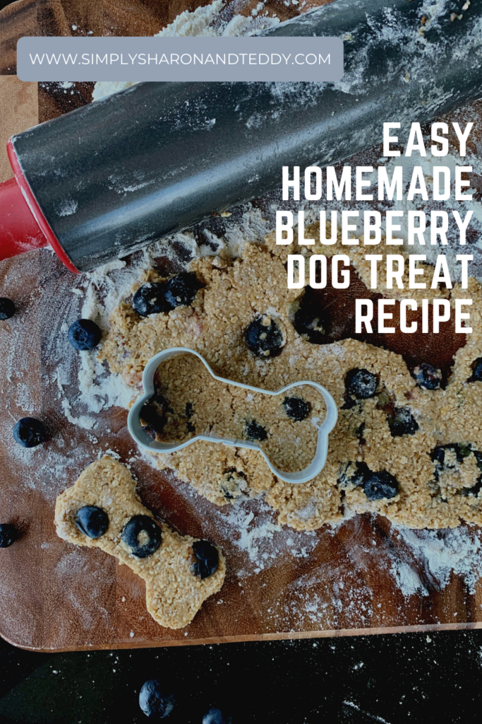 Homemade Blueberry Dog Treat Recipe Simply Sharon and Teddy