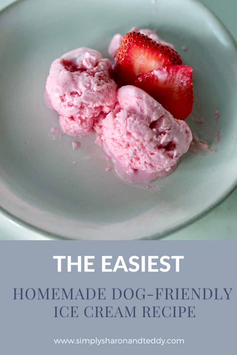 The Easiest Homemade DogFriendly Ice Cream Recipe Simply Sharon and