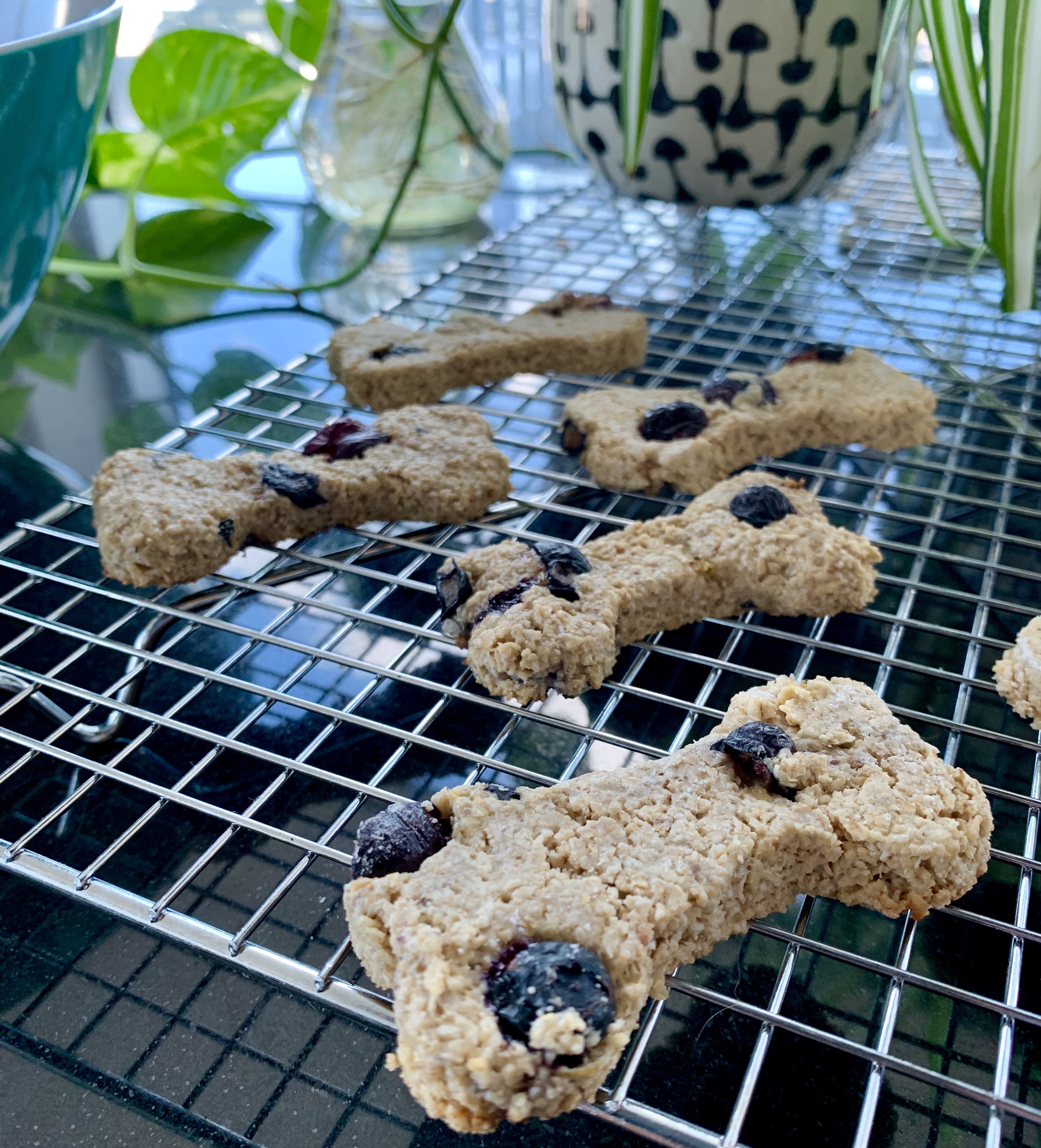 Simply Sharon and Teddy homemade blueberry dog treat recipe