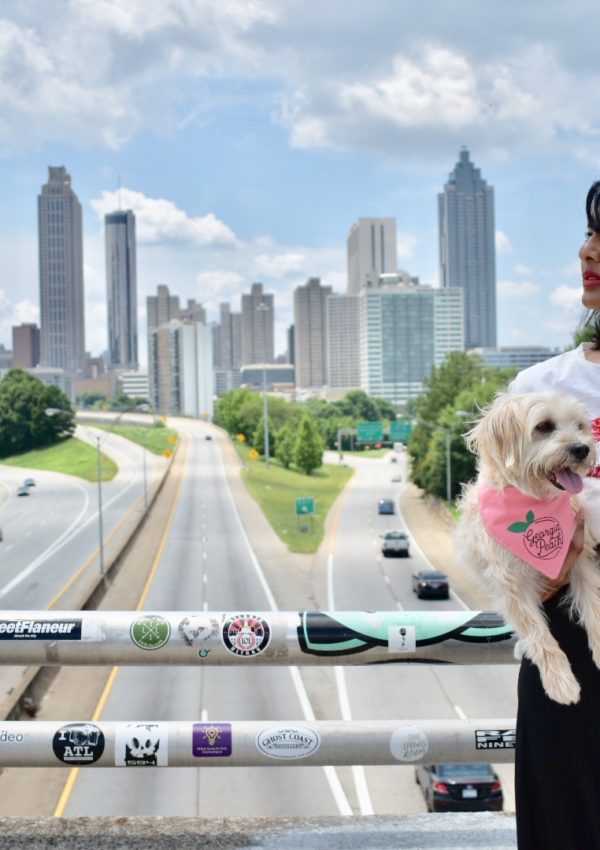 The Best Instagrammable Places To Take Photos With Your Dog In Atlanta