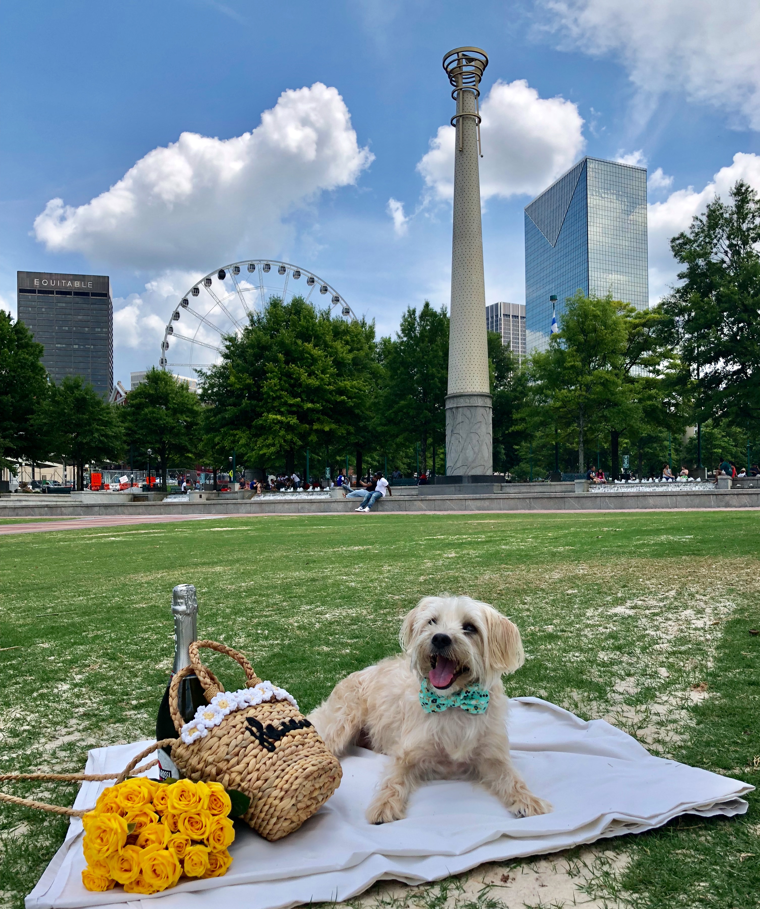 Best Instagrammable Places To Take Photos In Atlanta Centennial Olympic Park