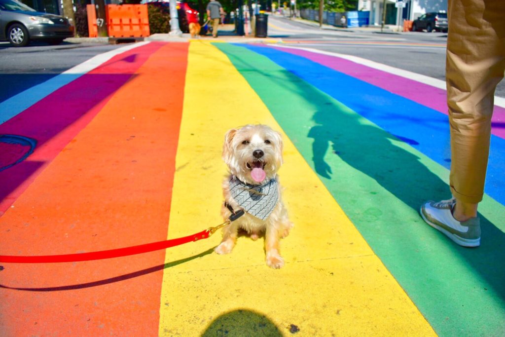 Best Instagrammable Places To Take Photos In Atlanta Rainbow Crosswalk on Piedmont Rd