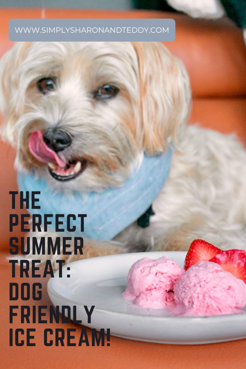 The Easiest Homemade DogFriendly Ice Cream Recipe Simply Sharon and
