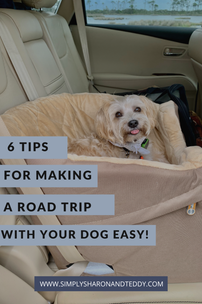 6 Tips For Making A Road Trip With Your Dog Easy 