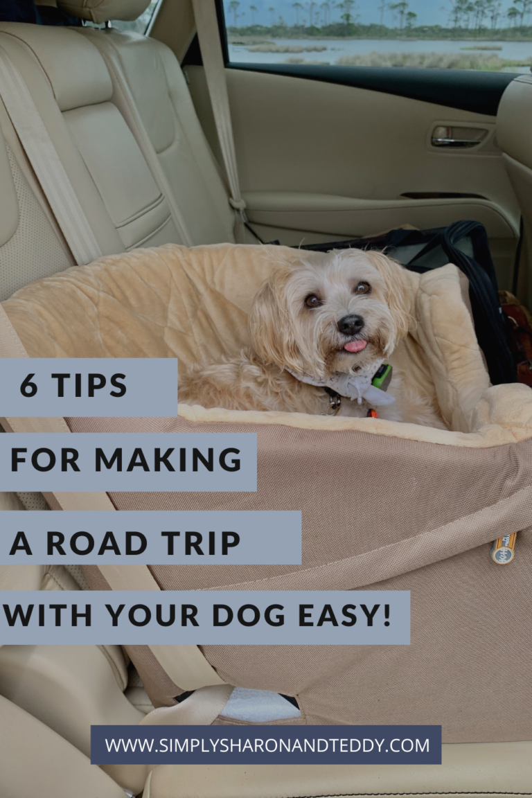 6 Tips For Making A Road Trip With Your Dog Easy - Simply Sharon And Teddy