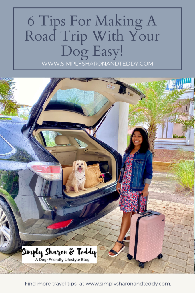 6 Tips For Making A Road Trip With Your Dog Easy