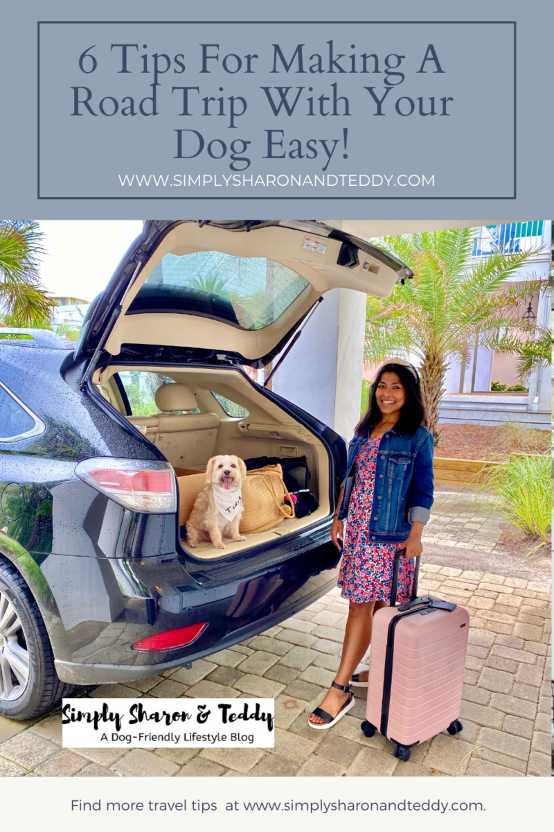 6 Tips For Making A Road Trip With Your Dog Easy - Simply Sharon And Teddy