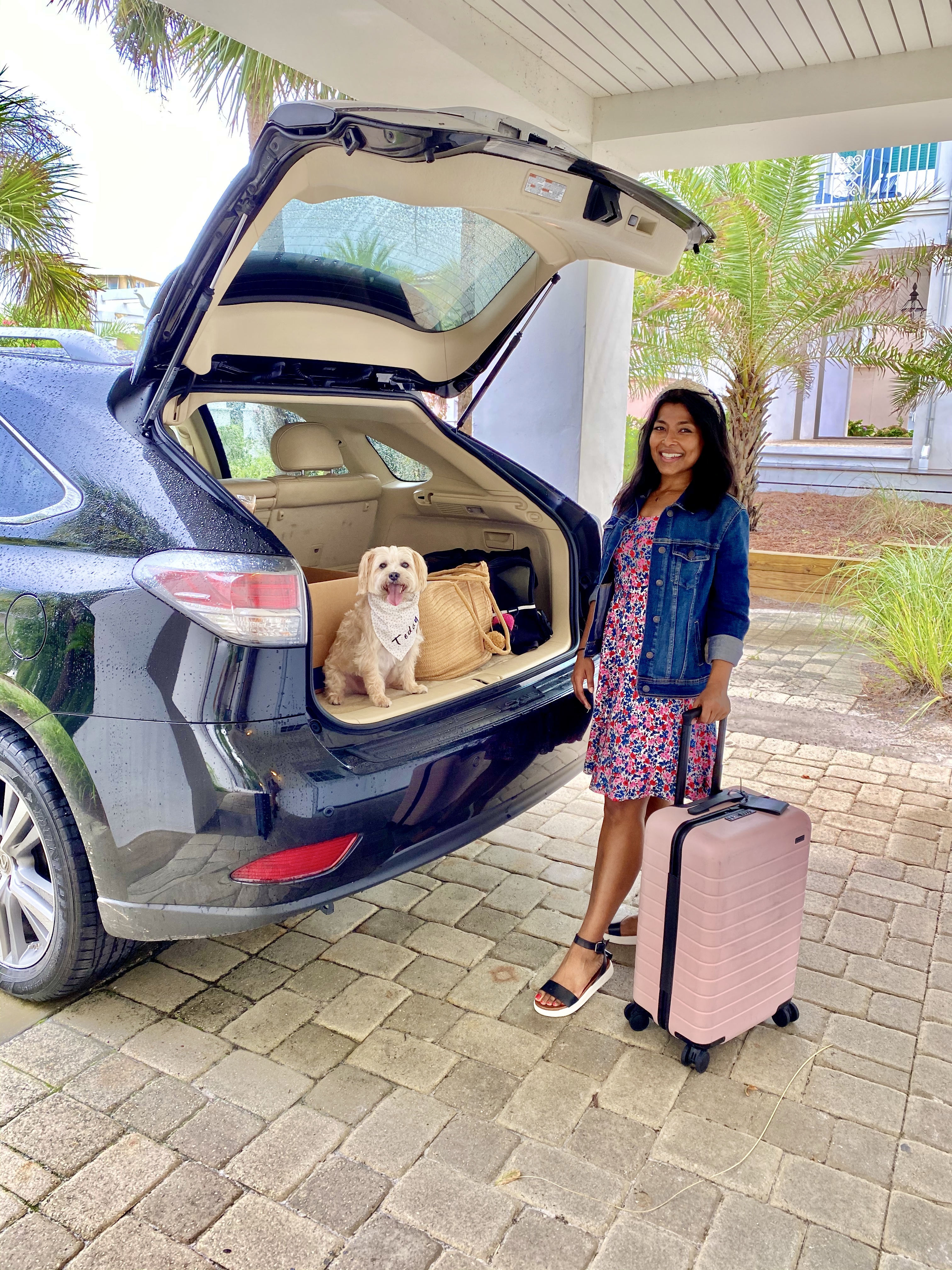 Simply-SHaron-and-TEddy-tips-for-Road-Trip-easy-1