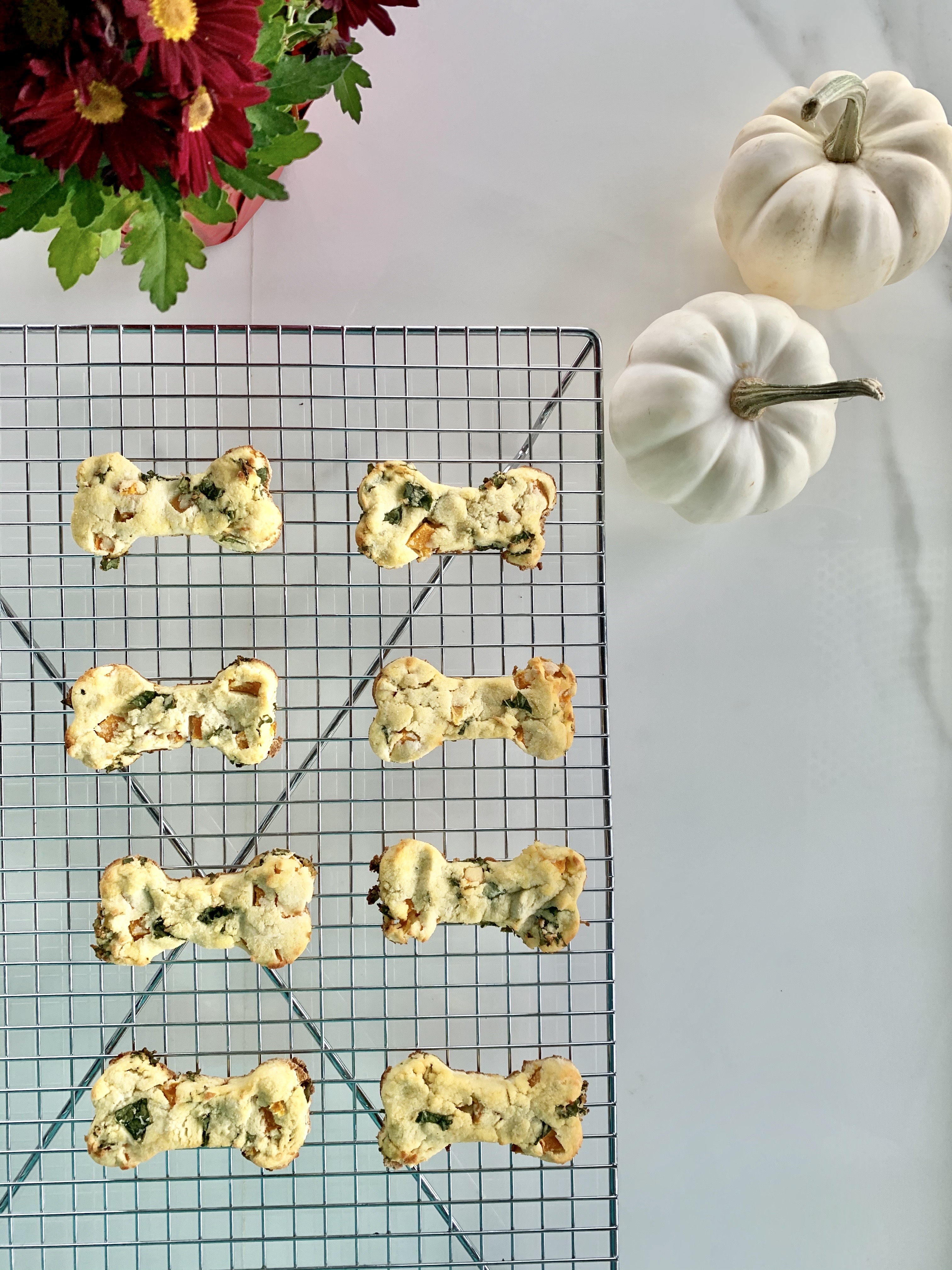 How To Make The Easiest Homemade Kale And Butternut Squash Dog Treats