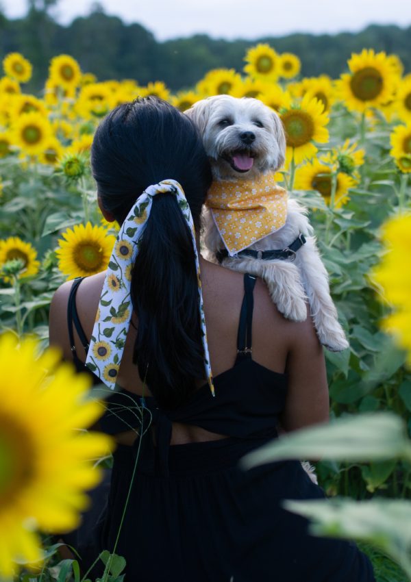 The Best Dog Friendly Farms in Georgia To Get Photos In A Sunflower Field
