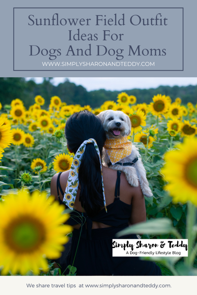 Sunflower Field Outfit Ideas For Dogs And Dog Moms pin 3