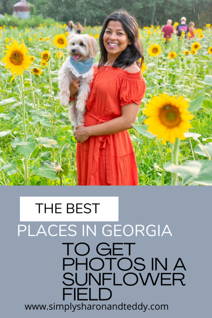 The Best Places In Georgia To Get Photos In A Sunflower Field pin 4