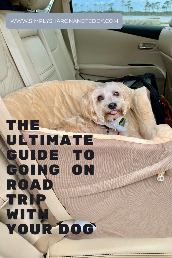 The Ultimate Guide To Going On Road Trip With Your Dog