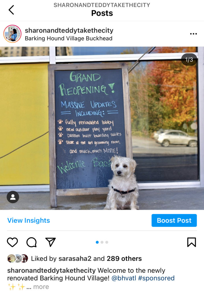 Collaborating With Brands On Instagram As A Dog Lifestyle Influencer