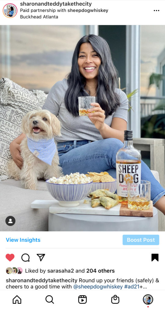 Collaborating With Brands On Instagram As A Dog Lifestyle Influencer 
