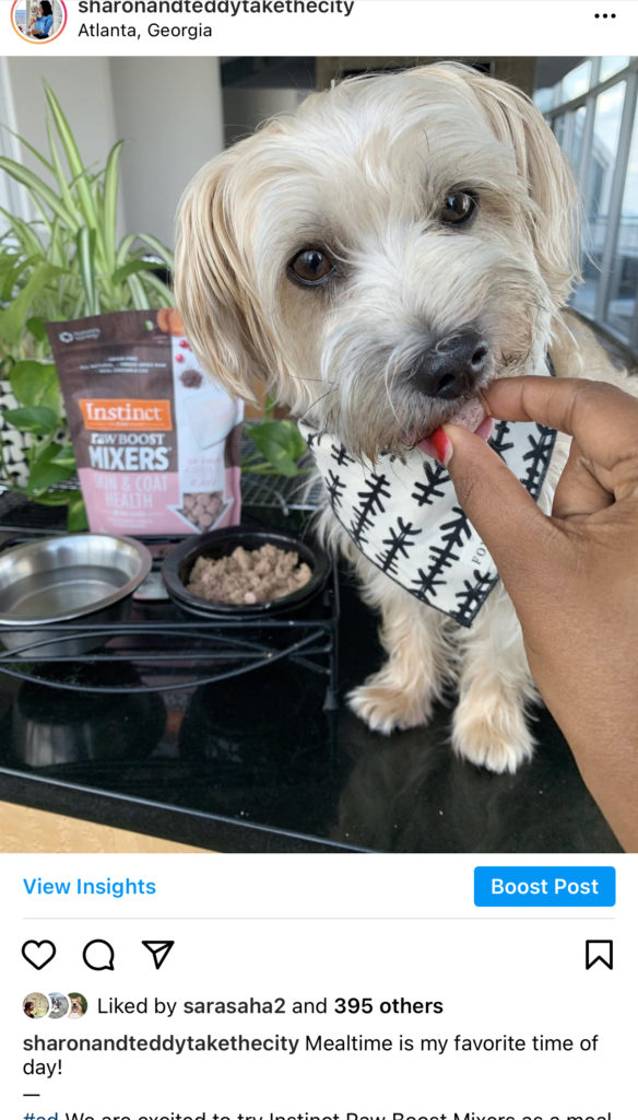 Collaborating With Brands On Instagram As A Dog Lifestyle Influencer
