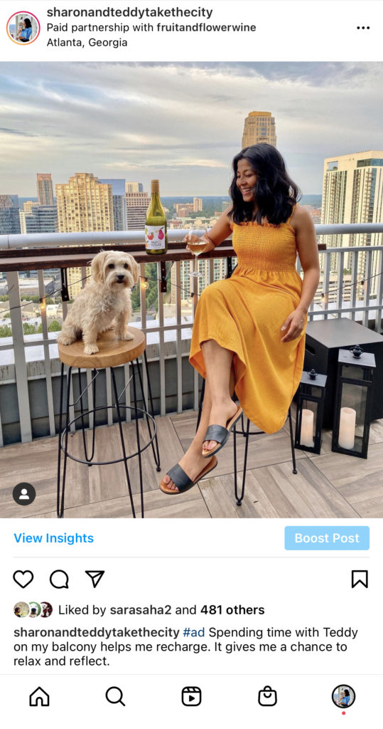 Collaborating With Brands On Instagram As A Dog Lifestyle Influencer 5
