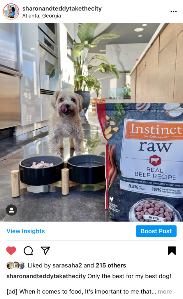Collaborating With Brands On Instagram As A Dog Lifestyle Influencer 