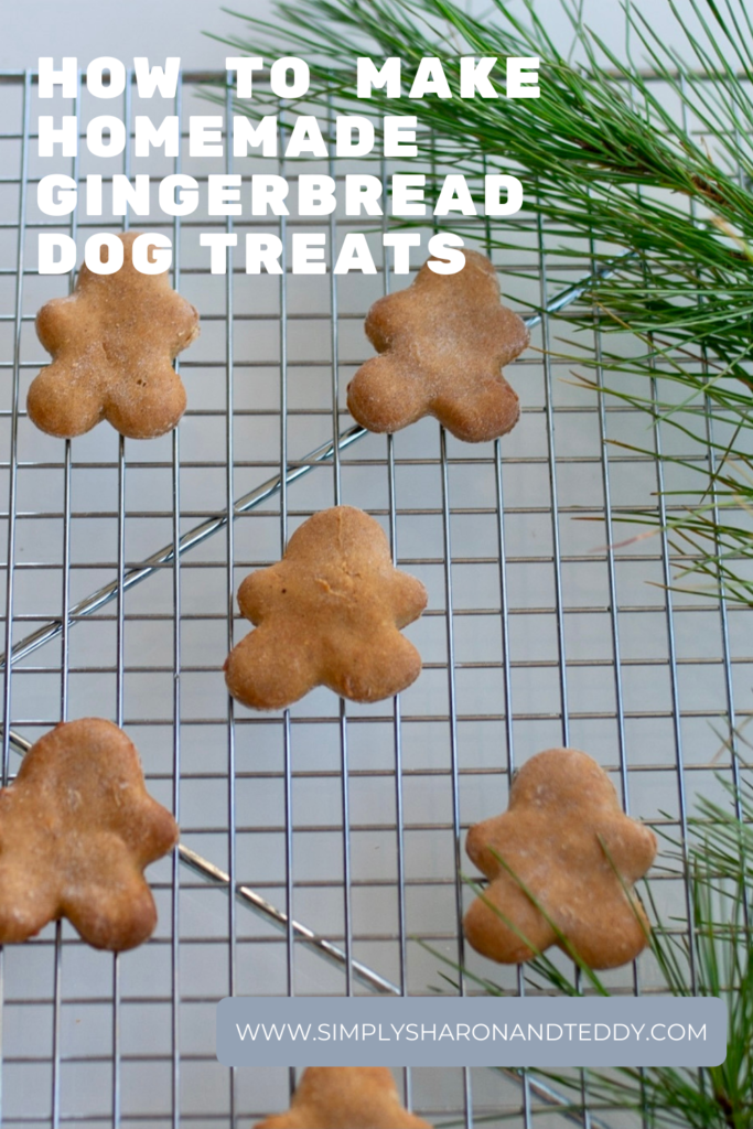how to make homemade gingerbread dog treats 