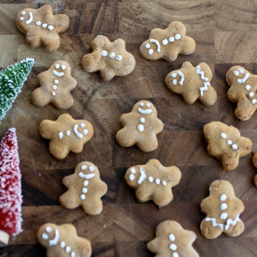 homemade gingerbread dog treats