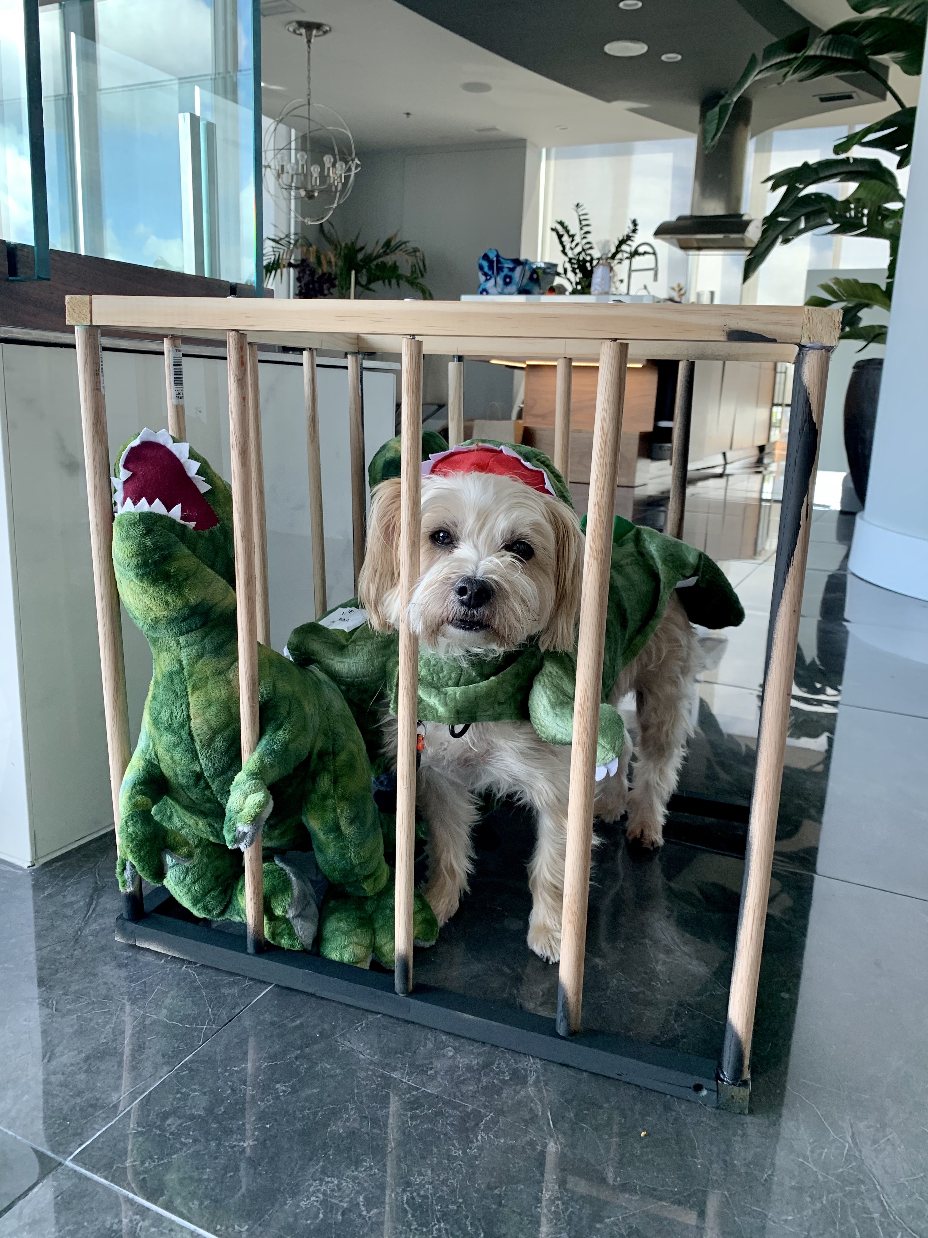 Easy Halloween Couples Costume Idea With Your Dog: Jurassic Park 