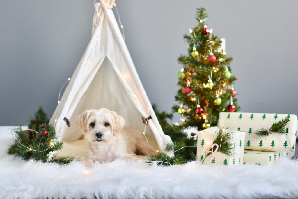 Easy ways To Decorate Your Home For The Holidays While On A Budget