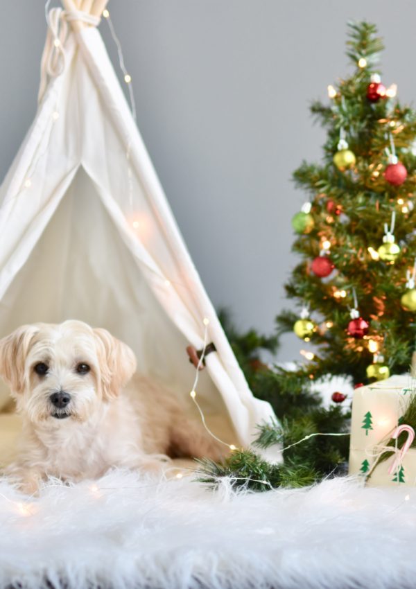 Easy Ways To Decorate Your Home For The Holidays While On A Budget