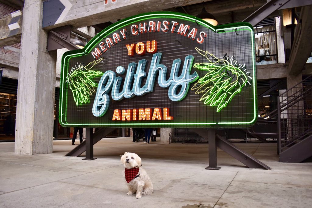 How To Celebrate The Holidays In Atlanta With Your Dog