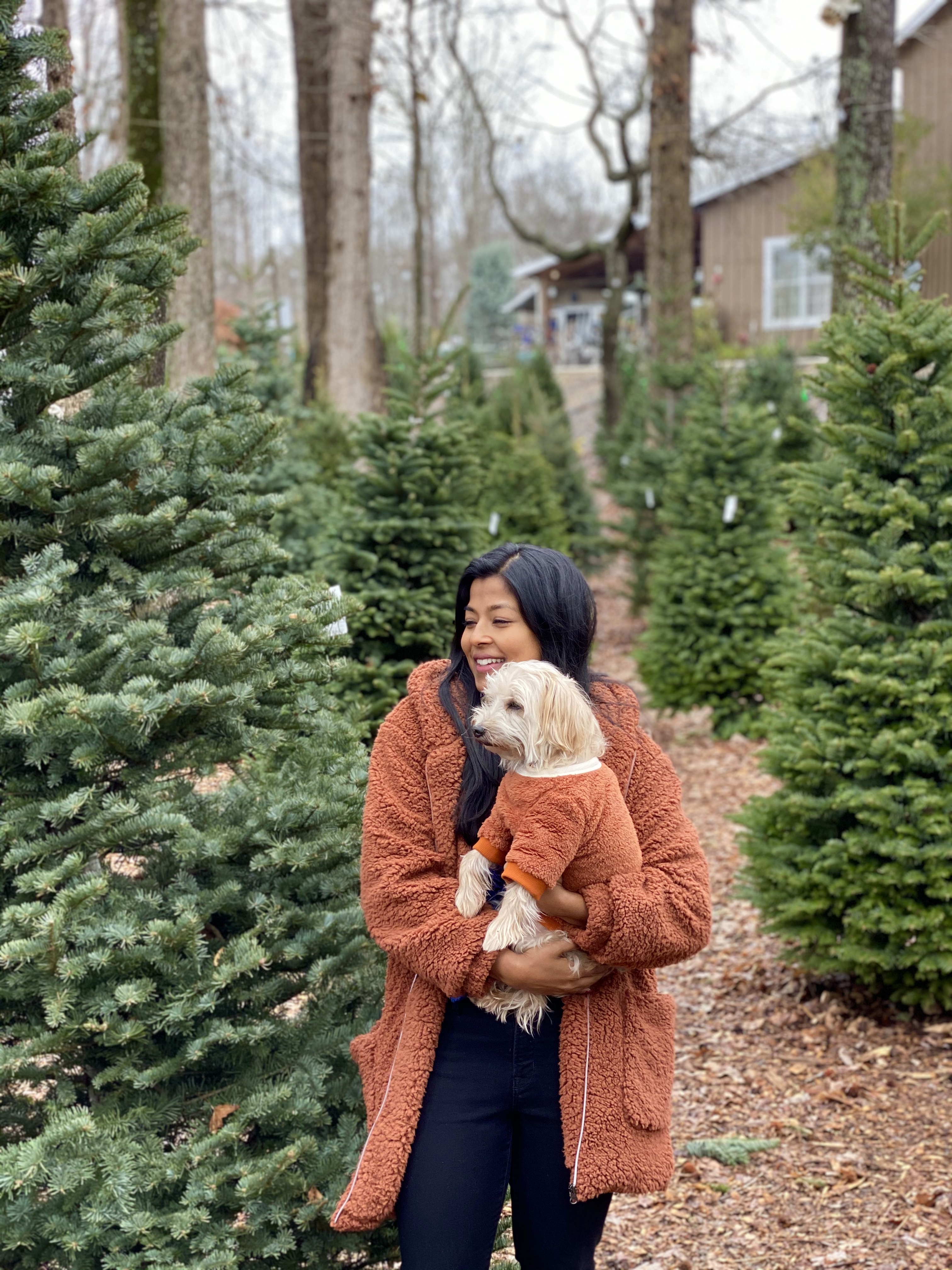 Holiday Activities In Atlanta To Do With Your Dog