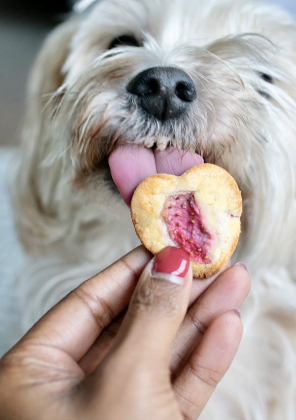 How To Make Healthy Valentine’s Day Dog Treats Using Strawberries