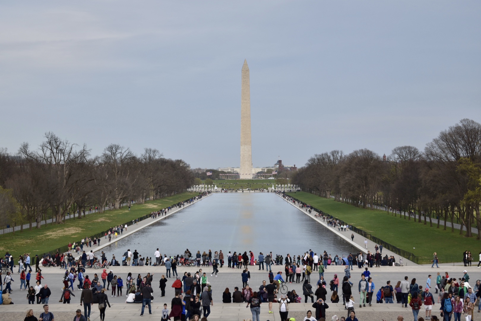 The Washington National Monument is seen from the reflecting pool in Washington DC. Ultimate Travel Guide To Dog Friendly Washington DC: