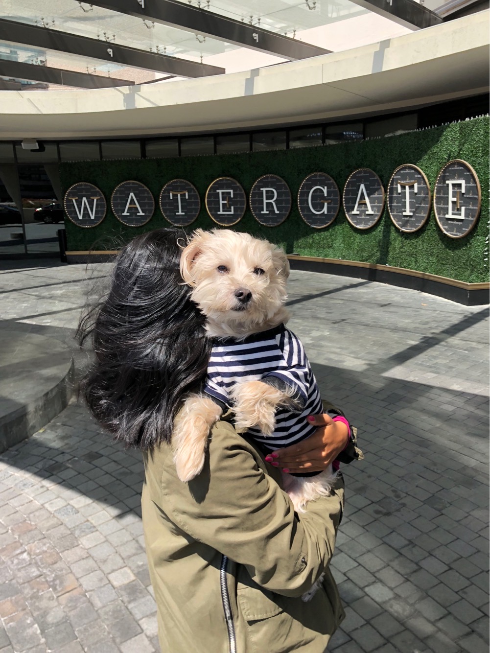 A girl holds her small dog in front of the Watergate Hotel. Ultimate Travel Guide To Dog Friendly Washington DC
