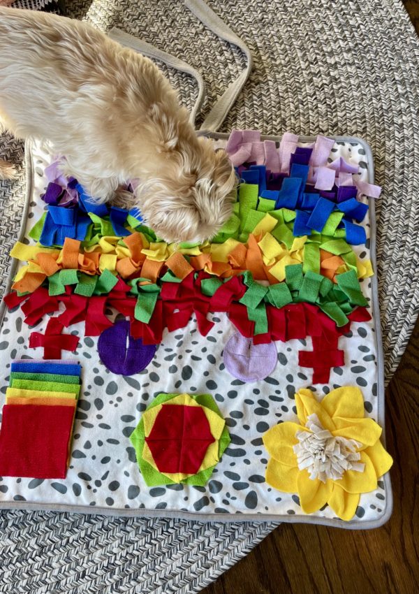 9 Best Snuffle Mats for Dogs For Enrichment in 2022