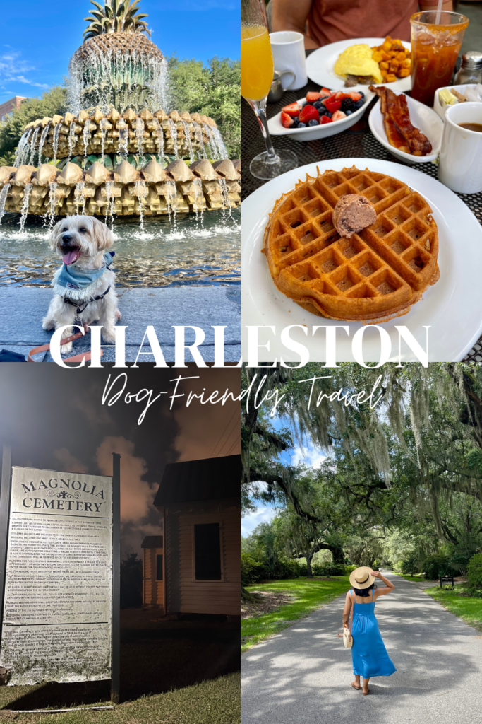 Charleston SC Dog-friendly travel