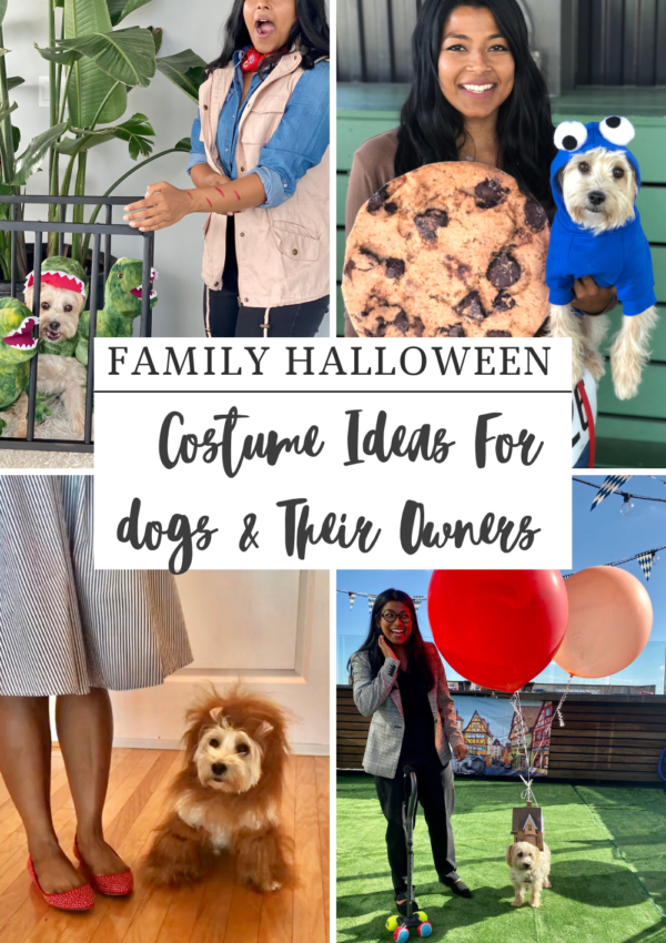 Family Halloween Dog Costume Ideas For Pets And Their Owners