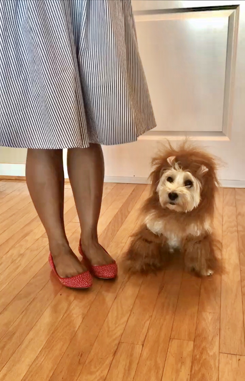 a women and her dog stand next to each other dressed as dorothy and the lion from wizard of oz