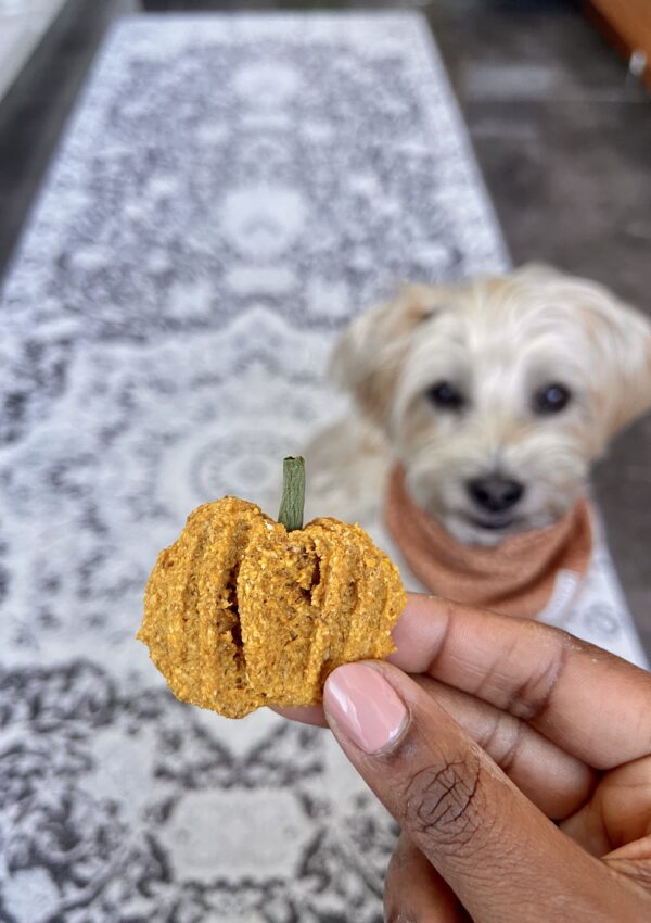 Homemade Peanut Butter And Pumpkin Dog Treats