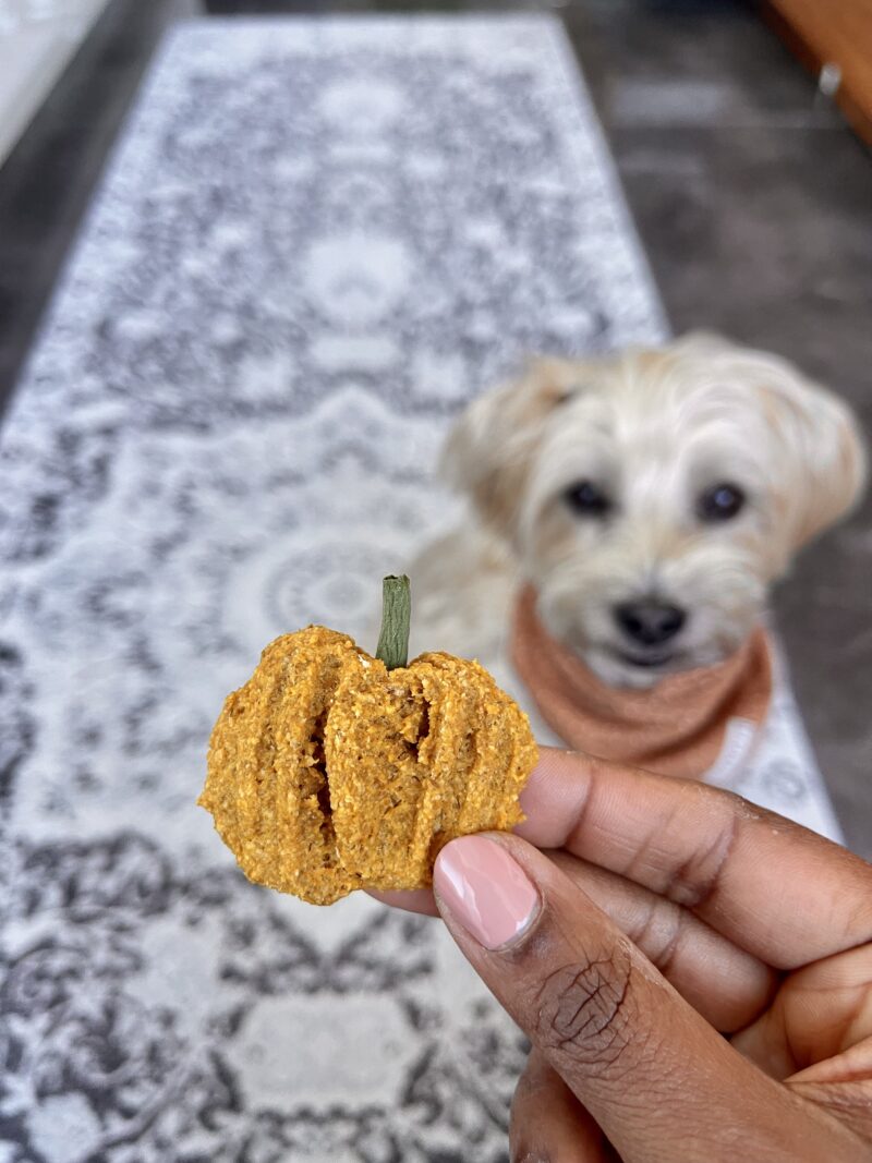 Easy Homemade Peanut Butter And Pumpkin Dog Treats (GrainFree