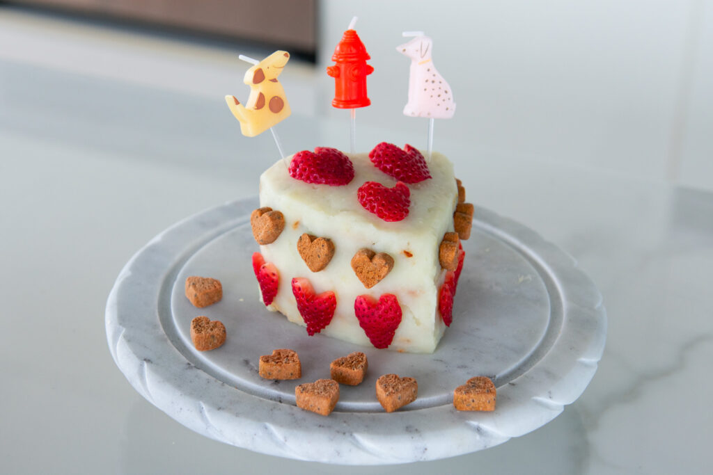 dog birthday cake make with meat and potato frosting.